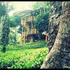 Jungle Jive Treehouse And , Munnar India